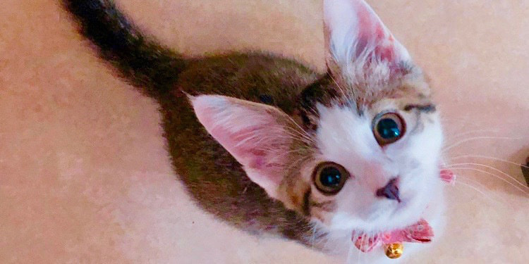 img_9435_20191018001116782.jpg