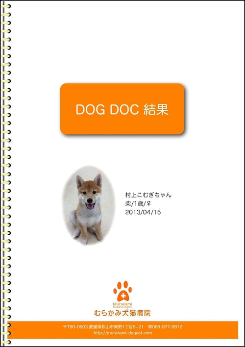 表紙見本