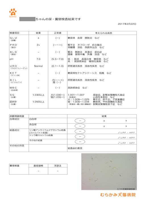尿検査結果見本