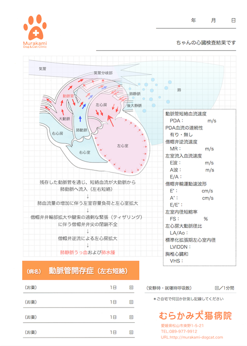動脈管開存症（左右短絡）