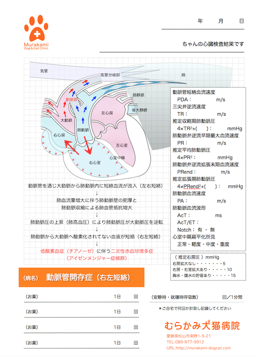 動脈管開存症（右左短絡）
