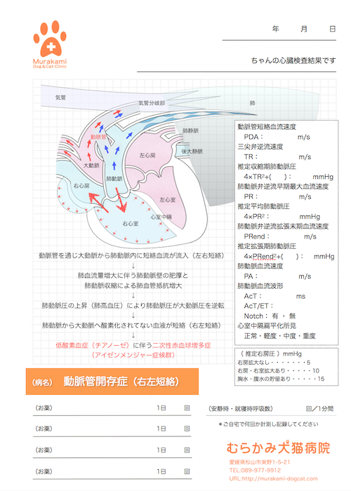 動脈管開存症（右左短絡）