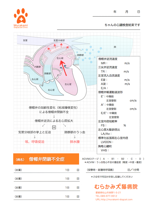 僧帽弁閉鎖不全症