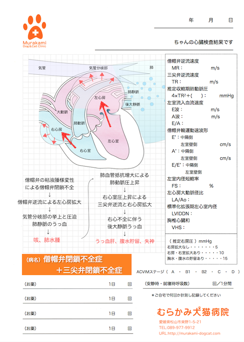 僧帽弁閉鎖不全症＋三尖弁閉鎖不全症