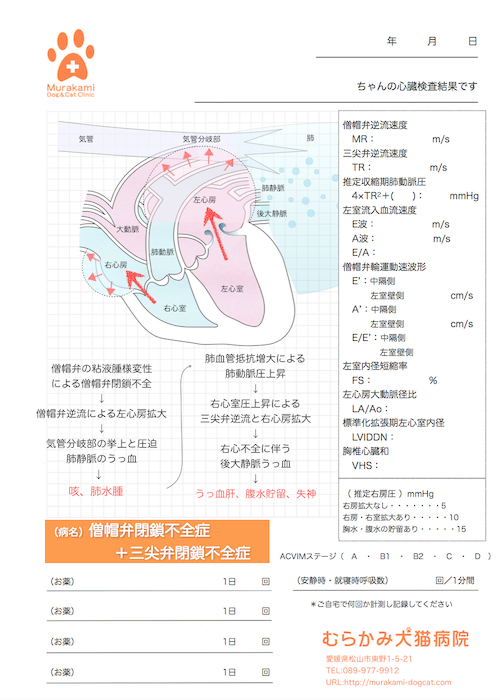 僧帽弁閉鎖不全症＋三尖弁閉鎖不全症