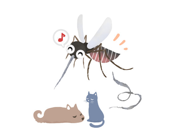 蚊と犬と猫
