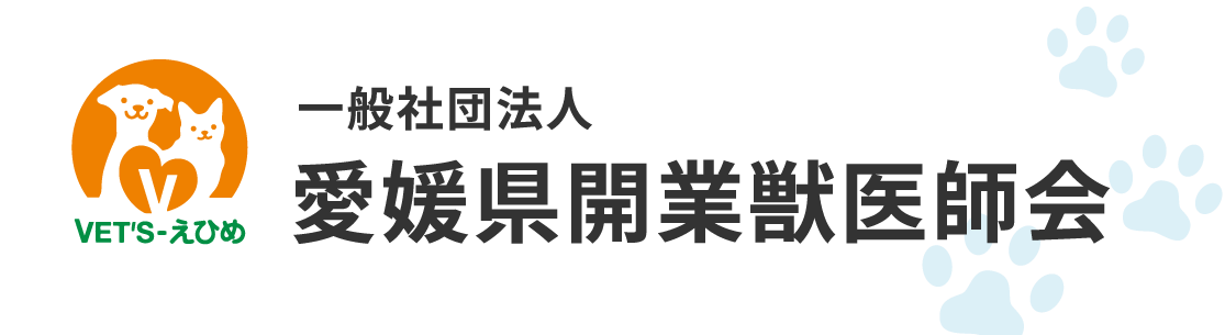 夜間診療案内